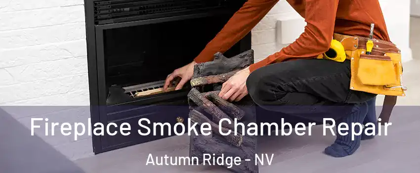 Fireplace Smoke Chamber Repair Autumn Ridge - NV