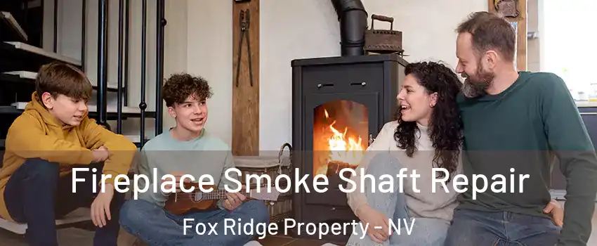 Fireplace Smoke Shaft Repair Fox Ridge Property - NV