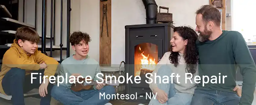 Fireplace Smoke Shaft Repair Montesol - NV