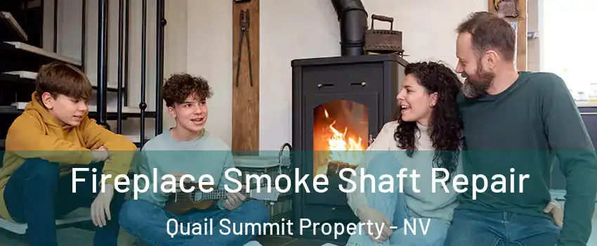 Fireplace Smoke Shaft Repair Quail Summit Property - NV