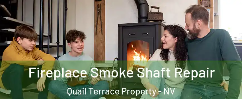 Fireplace Smoke Shaft Repair Quail Terrace Property - NV