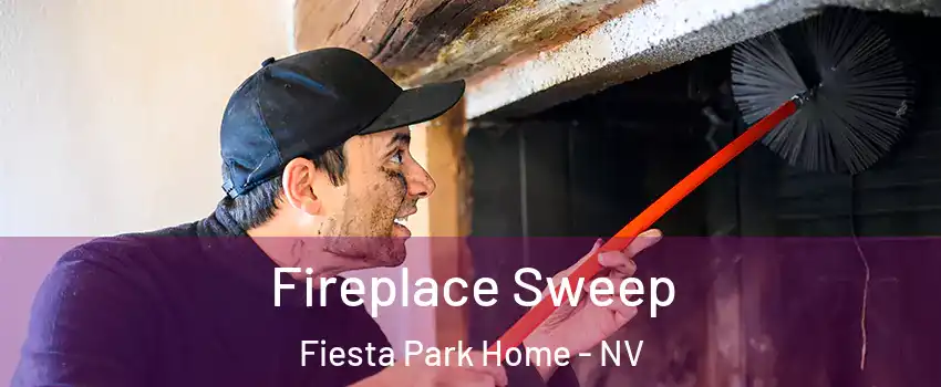 Fireplace Sweep Fiesta Park Home - NV