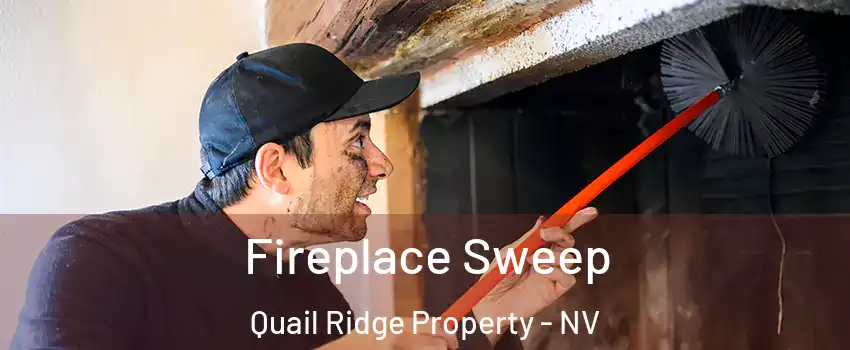 Fireplace Sweep Quail Ridge Property - NV