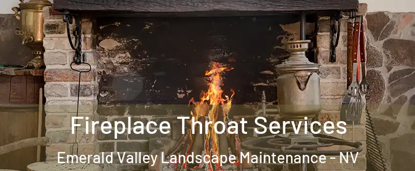 Fireplace Throat Services Emerald Valley Landscape Maintenance - NV