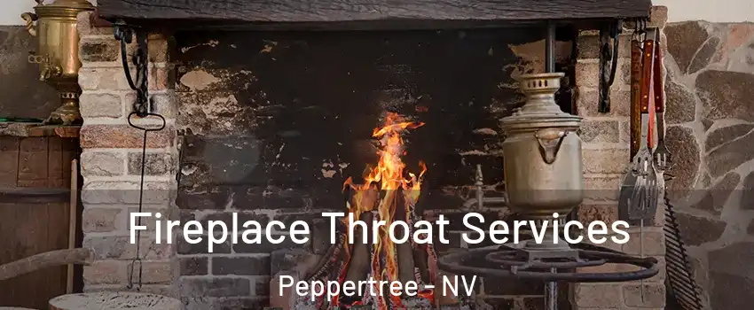 Fireplace Throat Services Peppertree - NV