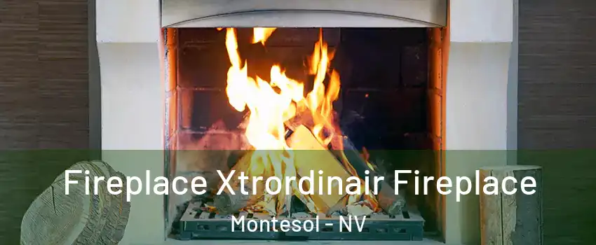 Fireplace Xtrordinair Fireplace Montesol - NV