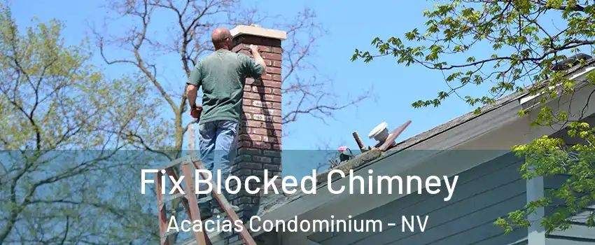 Fix Blocked Chimney Acacias Condominium - NV