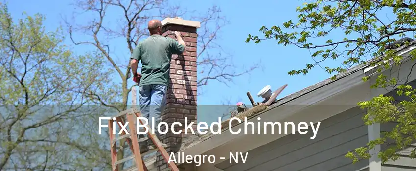 Fix Blocked Chimney Allegro - NV