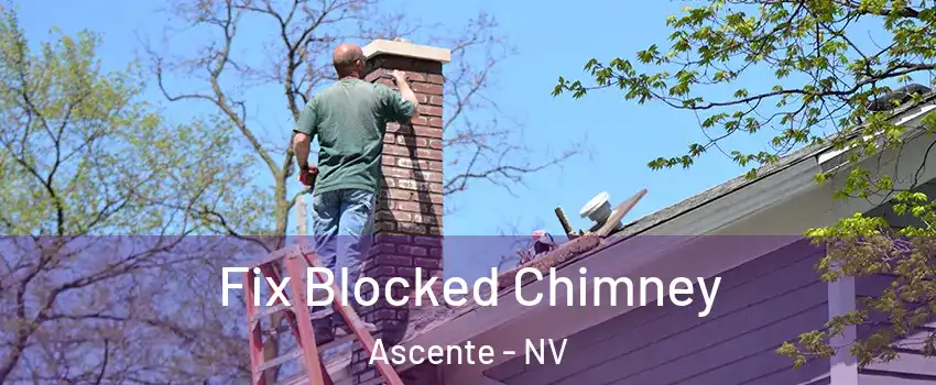 Fix Blocked Chimney Ascente - NV