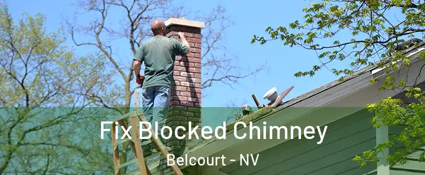 Fix Blocked Chimney Belcourt - NV