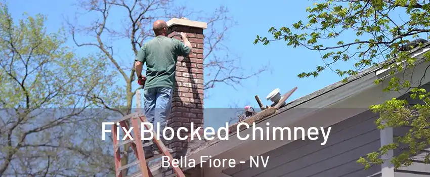 Fix Blocked Chimney Bella Fiore - NV