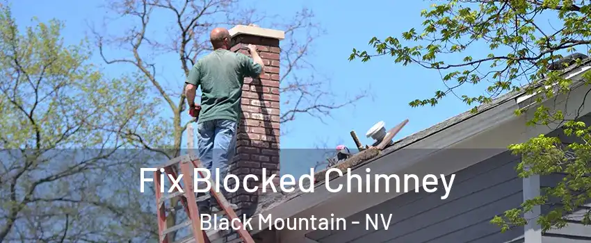 Fix Blocked Chimney Black Mountain - NV