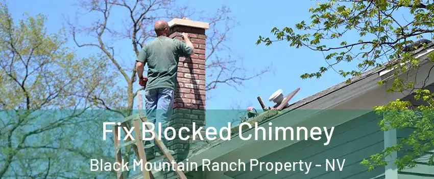 Fix Blocked Chimney Black Mountain Ranch Property - NV