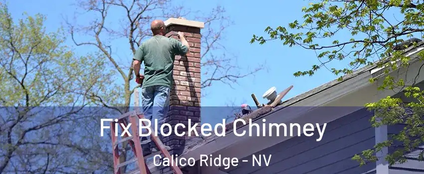 Fix Blocked Chimney Calico Ridge - NV