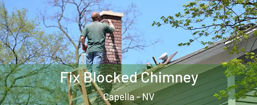 Fix Blocked Chimney Capella - NV