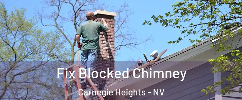 Fix Blocked Chimney Carnegie Heights - NV