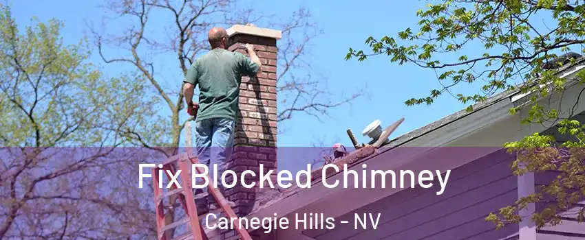 Fix Blocked Chimney Carnegie Hills - NV