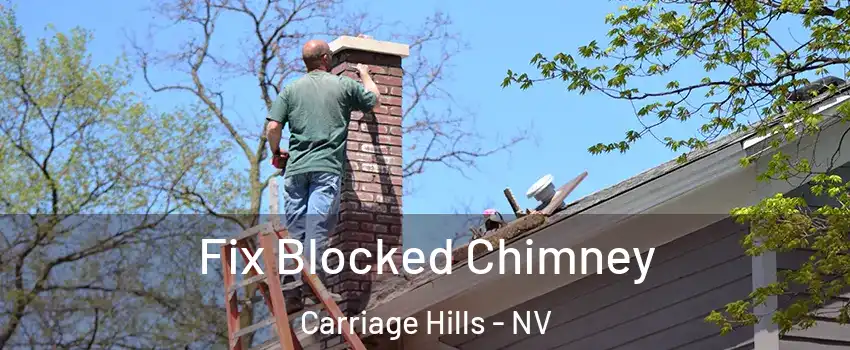 Fix Blocked Chimney Carriage Hills - NV