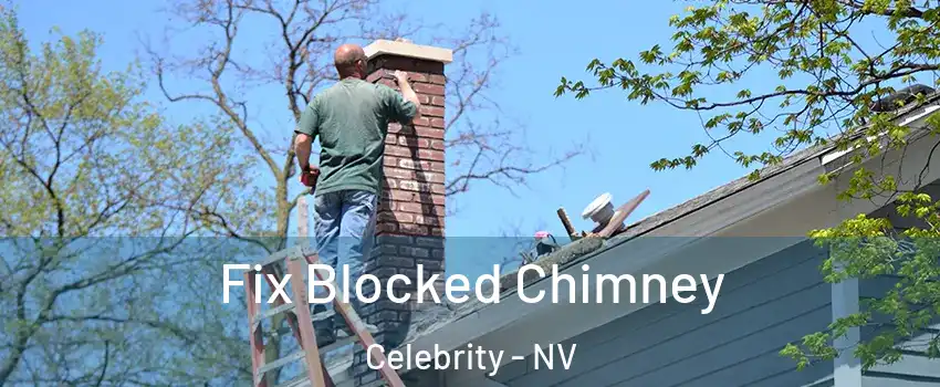 Fix Blocked Chimney Celebrity - NV