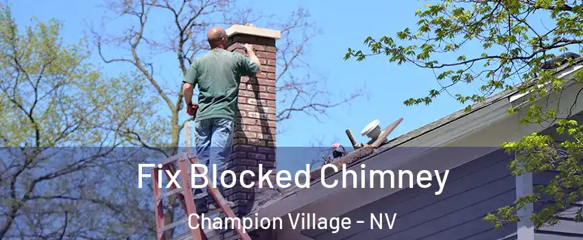 Fix Blocked Chimney Champion Village - NV