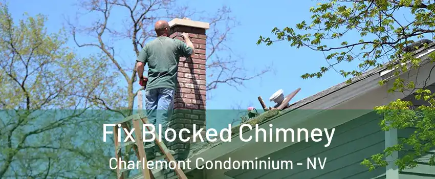 Fix Blocked Chimney Charlemont Condominium - NV