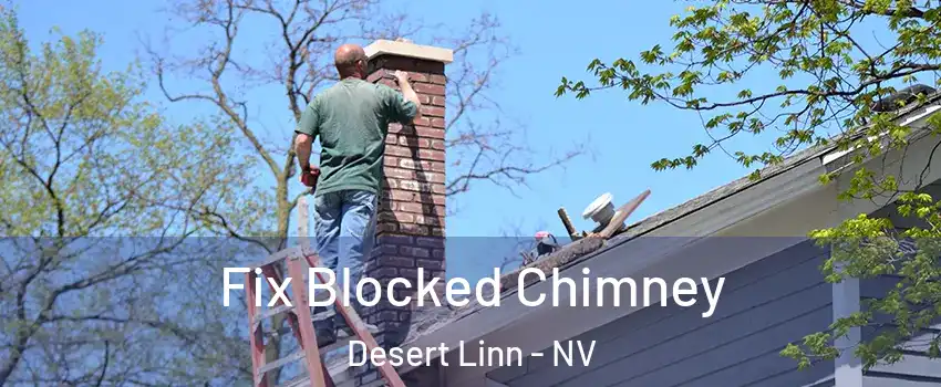 Fix Blocked Chimney Desert Linn - NV