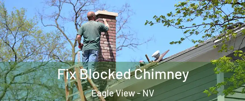 Fix Blocked Chimney Eagle View - NV