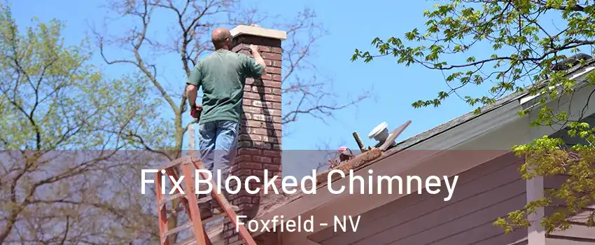 Fix Blocked Chimney Foxfield - NV