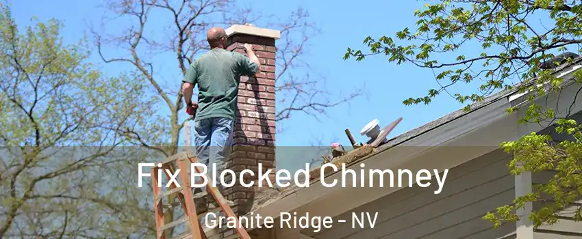 Fix Blocked Chimney Granite Ridge - NV