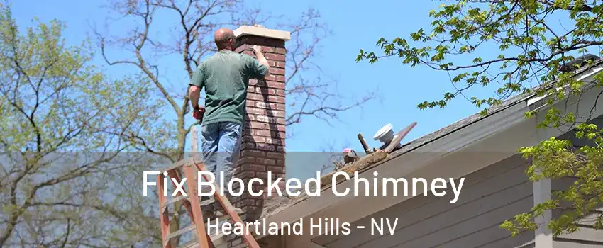 Fix Blocked Chimney Heartland Hills - NV