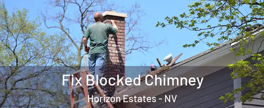 Fix Blocked Chimney Horizon Estates - NV