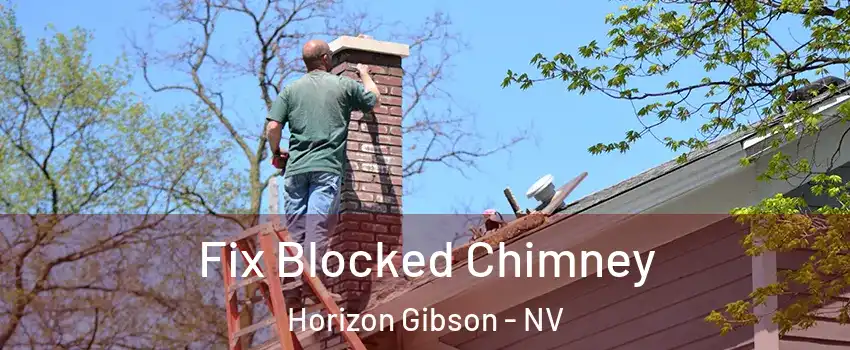 Fix Blocked Chimney Horizon Gibson - NV