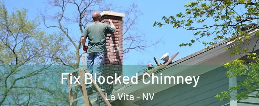 Fix Blocked Chimney La Vita - NV