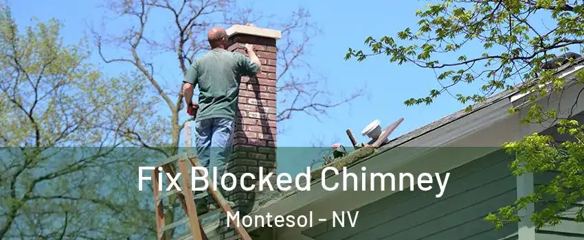 Fix Blocked Chimney Montesol - NV