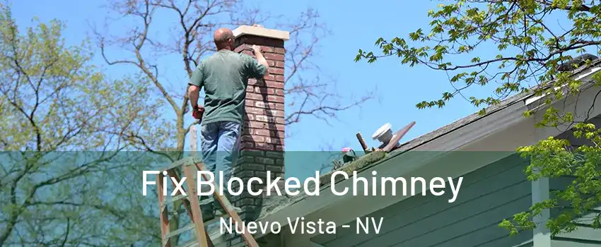 Fix Blocked Chimney Nuevo Vista - NV