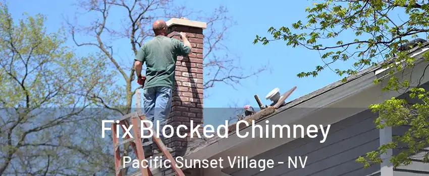 Fix Blocked Chimney Pacific Sunset Village - NV