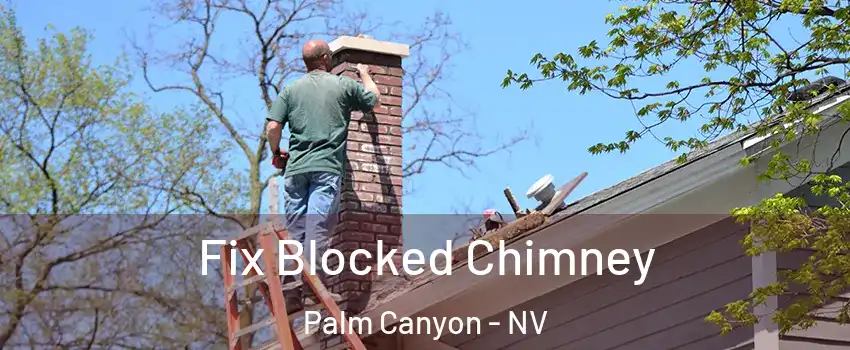 Fix Blocked Chimney Palm Canyon - NV