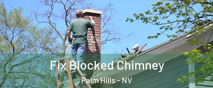 Fix Blocked Chimney Palm Hills - NV