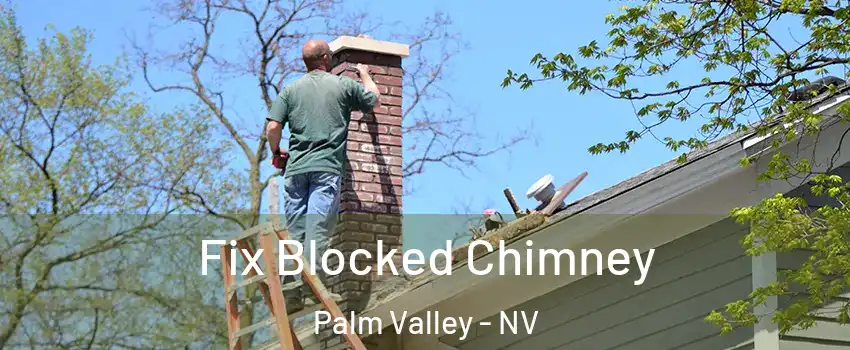 Fix Blocked Chimney Palm Valley - NV