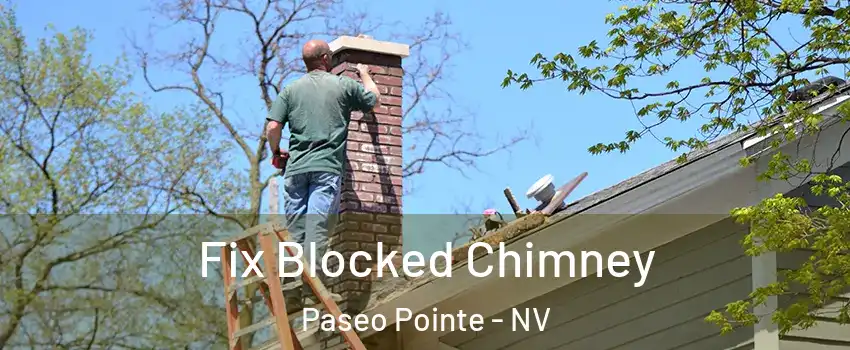 Fix Blocked Chimney Paseo Pointe - NV