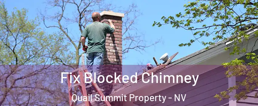 Fix Blocked Chimney Quail Summit Property - NV