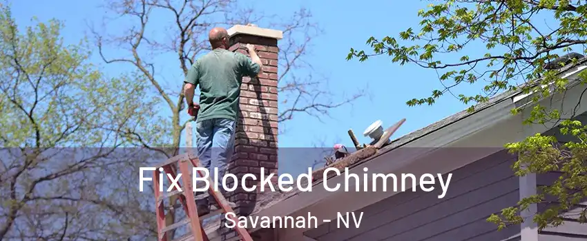 Fix Blocked Chimney Savannah - NV