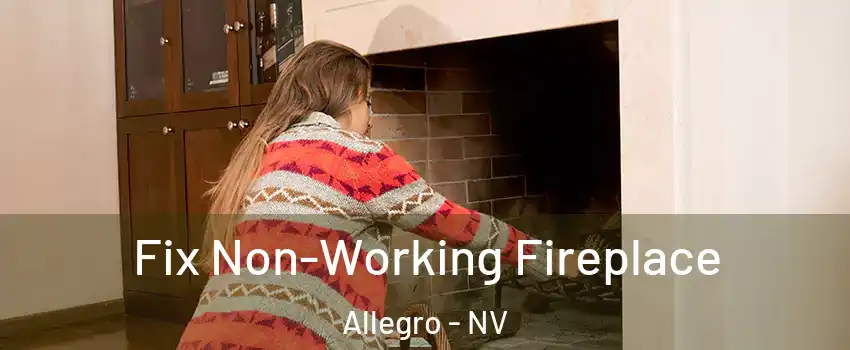 Fix Non-Working Fireplace Allegro - NV