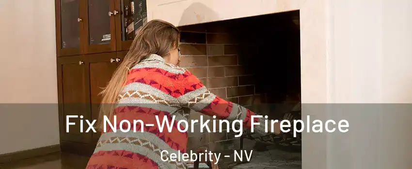 Fix Non-Working Fireplace Celebrity - NV