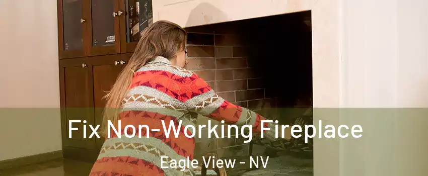 Fix Non-Working Fireplace Eagle View - NV