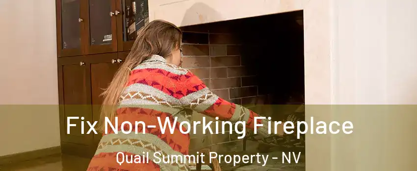 Fix Non-Working Fireplace Quail Summit Property - NV