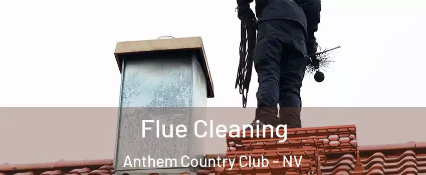 Flue Cleaning Anthem Country Club - NV