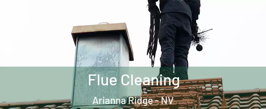 Flue Cleaning Arianna Ridge - NV