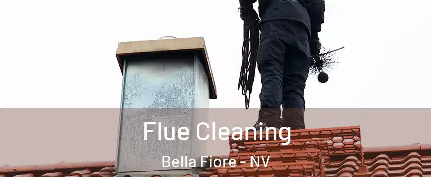 Flue Cleaning Bella Fiore - NV