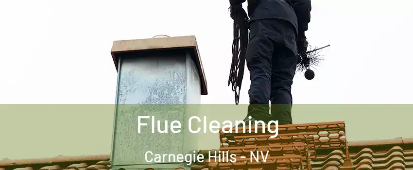 Flue Cleaning Carnegie Hills - NV